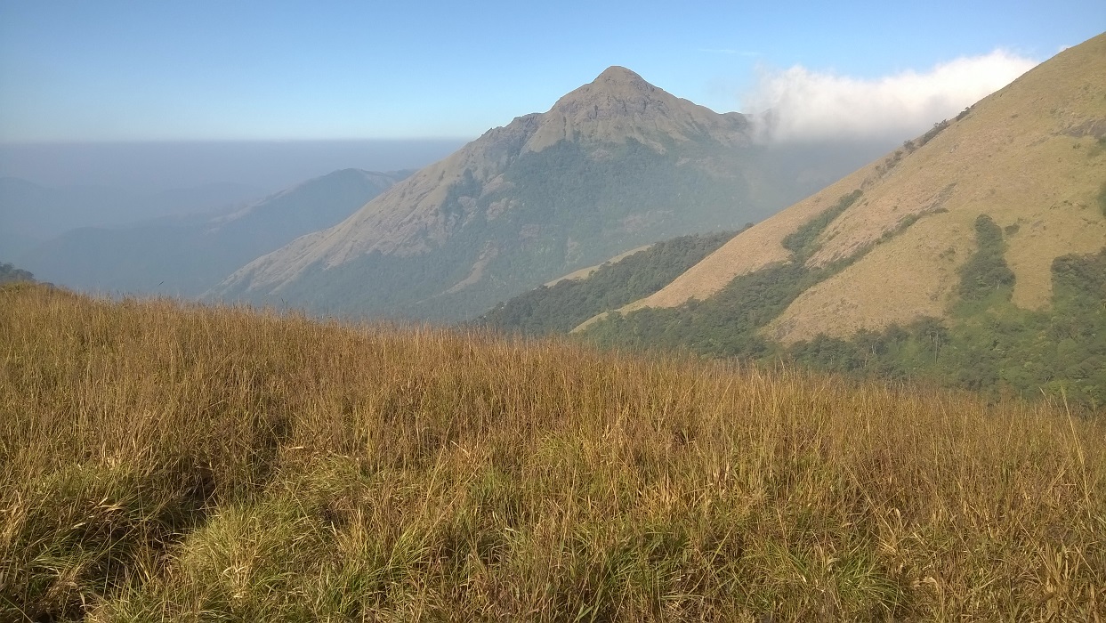 Manjara Hills