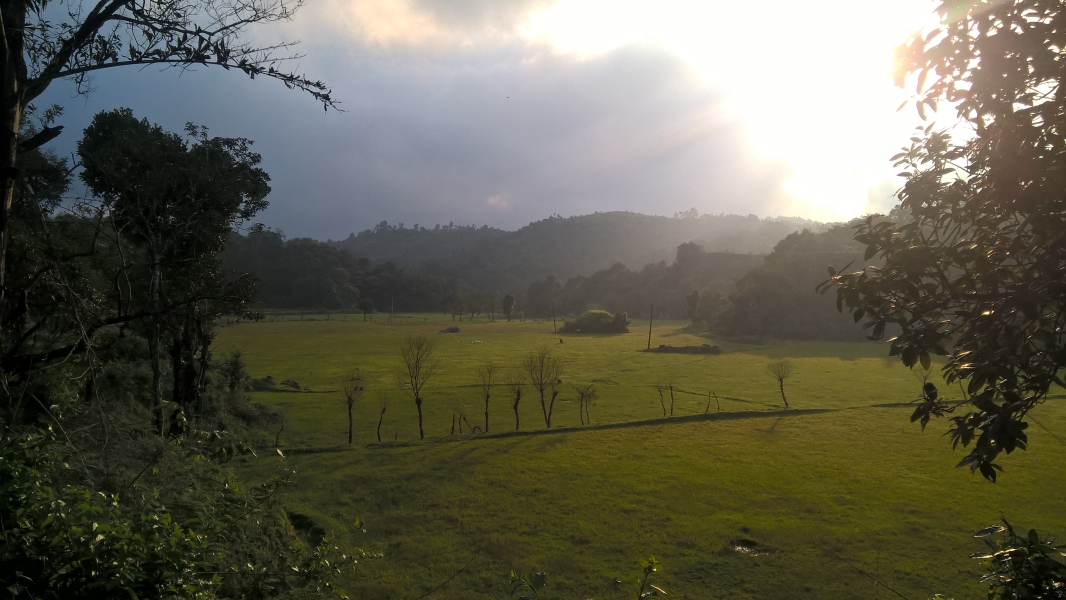 Manjara Hills